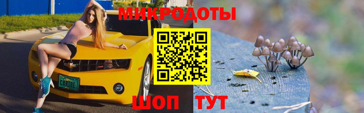 Галлюциногенные грибы мухоморы  Галлюциногенные грибы MAGIC MUSHROOMS  купить закладку  Вход с VPN  Ипатово 